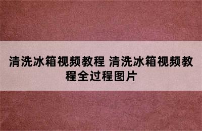 清洗冰箱视频教程 清洗冰箱视频教程全过程图片